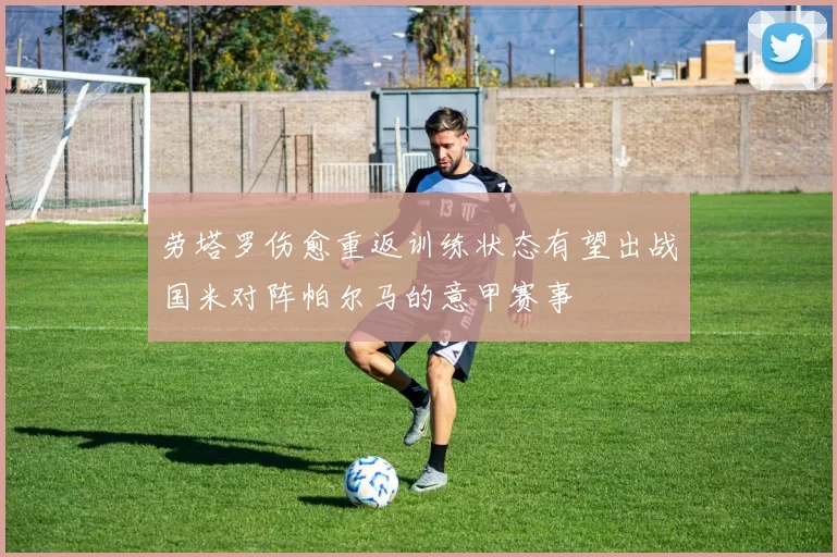 劳塔罗伤愈重返训练状态有望出战国米对阵帕尔马的意甲赛事