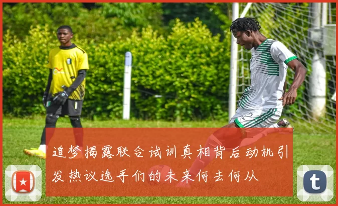 追梦揭露联合试训真相背后动机引发热议选手们的未来何去何从